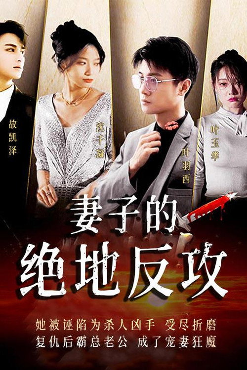 妻子的绝地反攻 封面