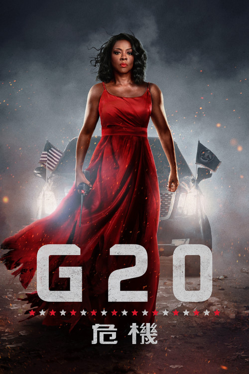 G20危机 封面