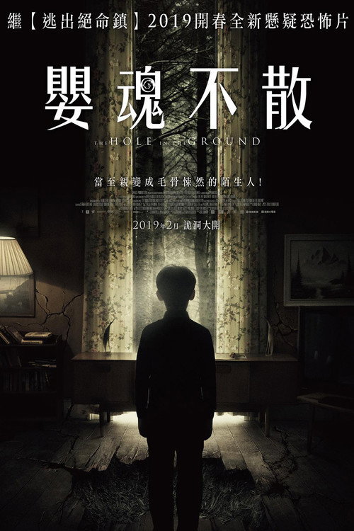地面之洞 封面