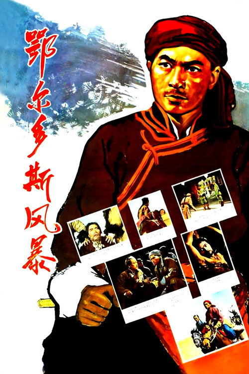 鄂尔多斯风暴 封面