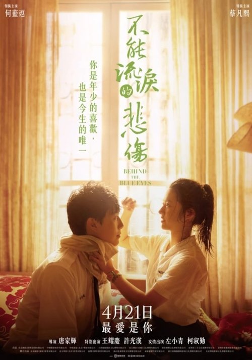 不能流泪的悲伤 封面