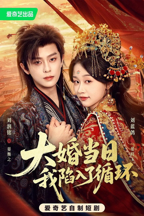 大婚当日我陷入了循环 封面