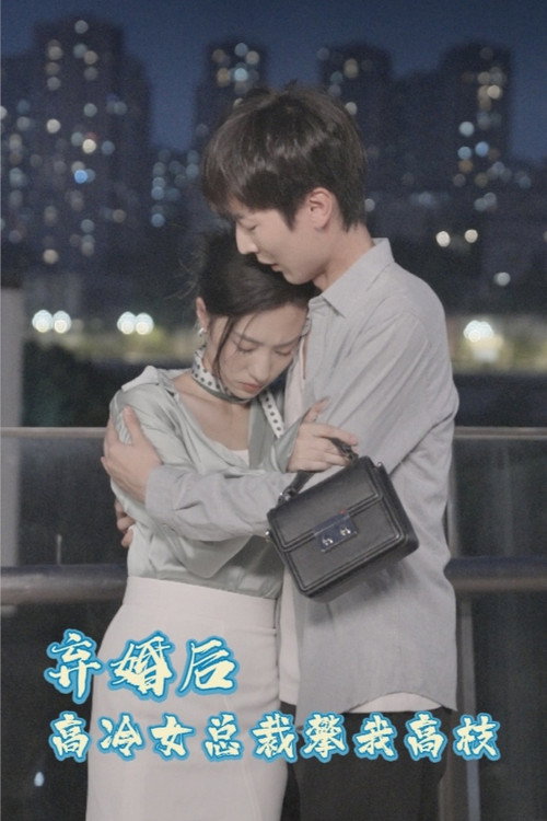 弃婚后，高冷女总裁攀我高枝 封面
