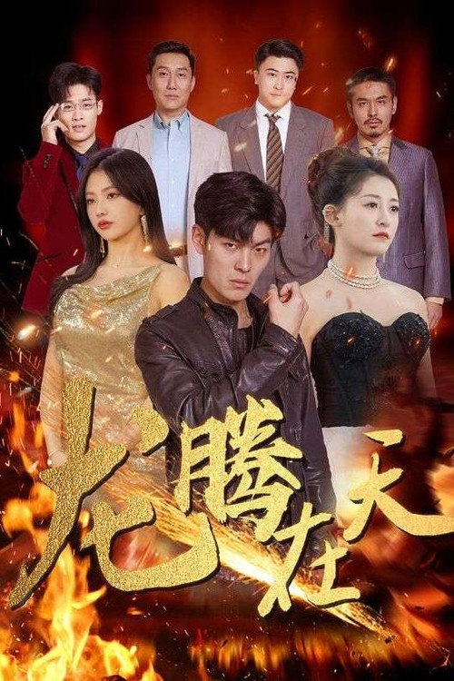 龙腾在天 封面