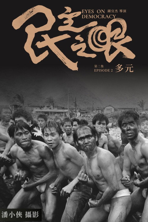 民主之眼：多元 封面