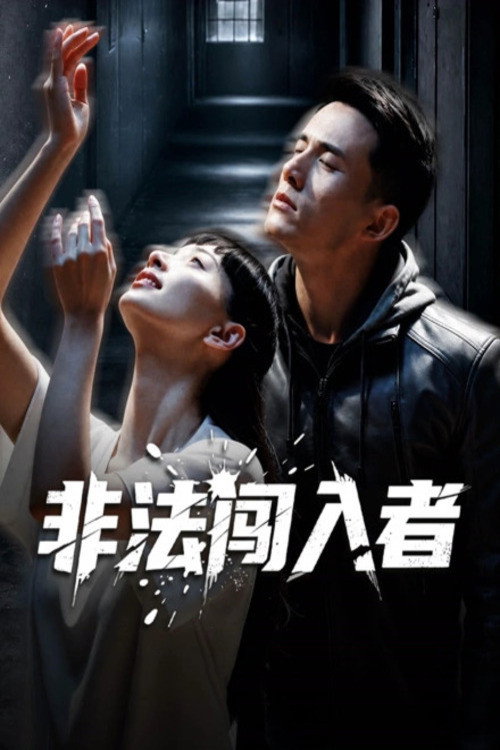 非法闯入者 封面