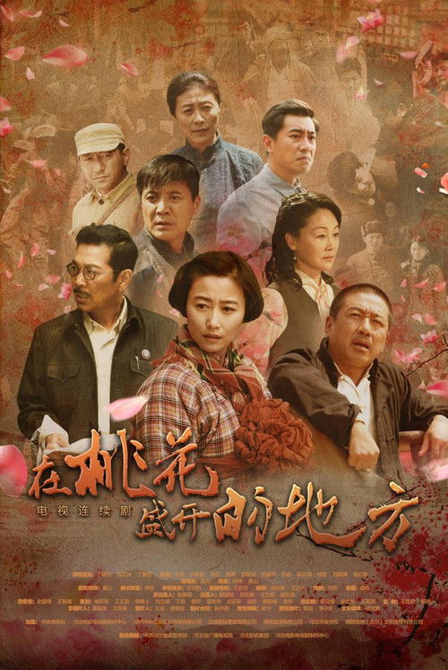 在桃花盛开的地方 封面