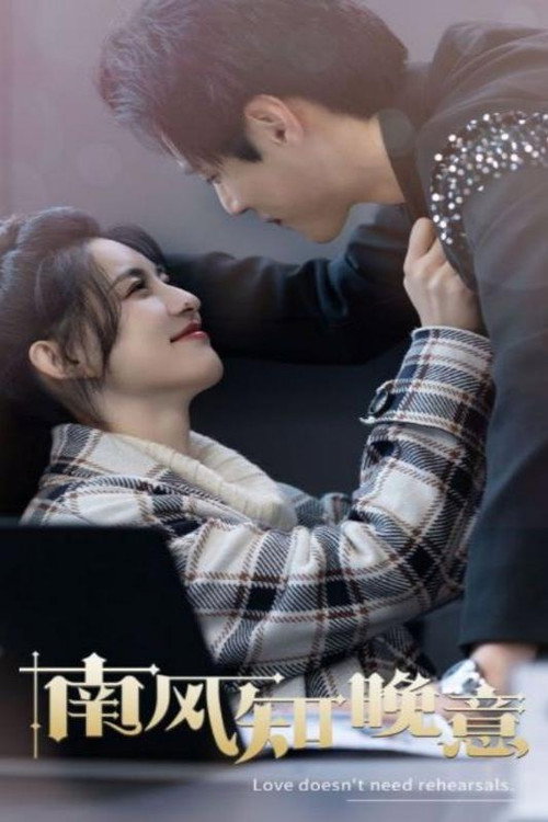 南风知晚意 封面