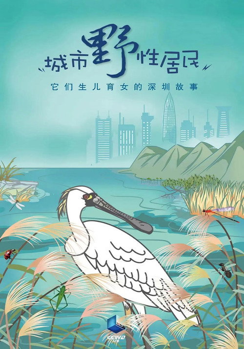 城市野性居民 封面