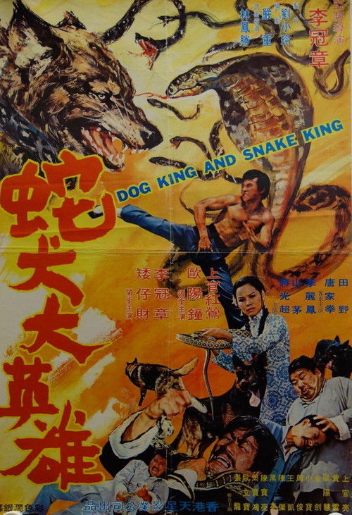 She quan da ying xiong 封面