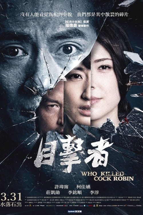 目击者之追凶 封面