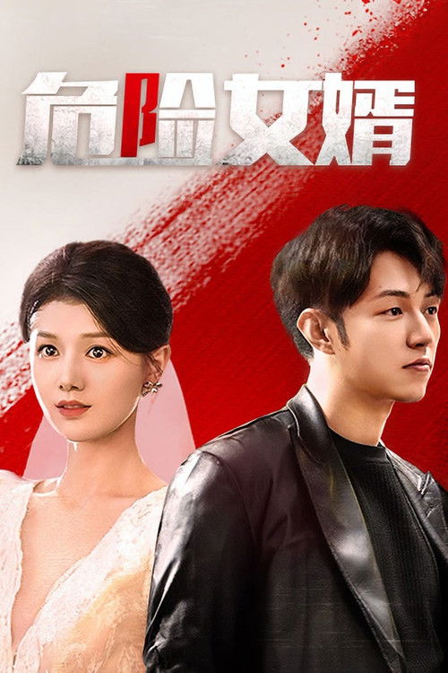 危险女婿 封面