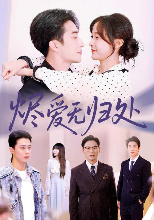 烬爱无归处 封面
