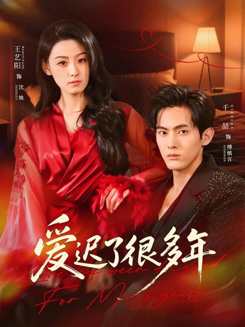 爱迟了很多年 封面