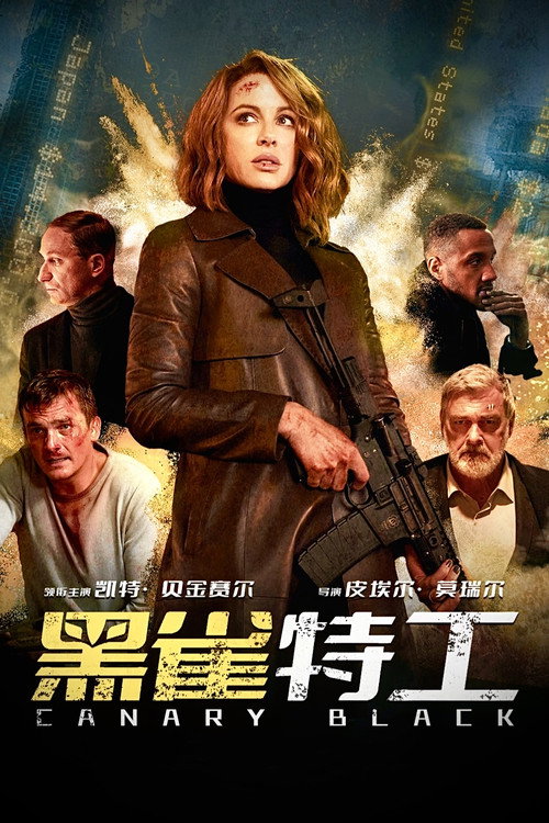 黑雀特工 封面