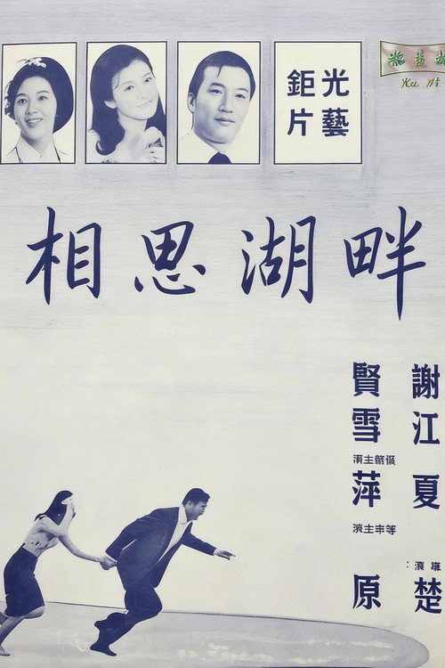 相思湖畔 封面