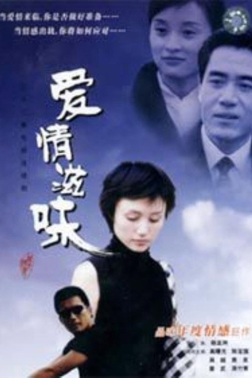 爱情滋味 封面