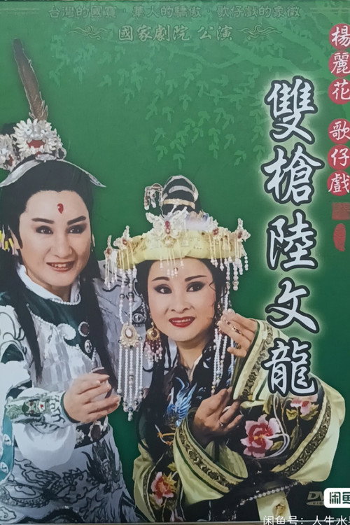 雙槍陸文龍 封面
