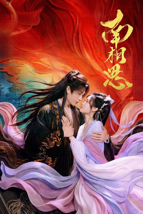 南相思 封面