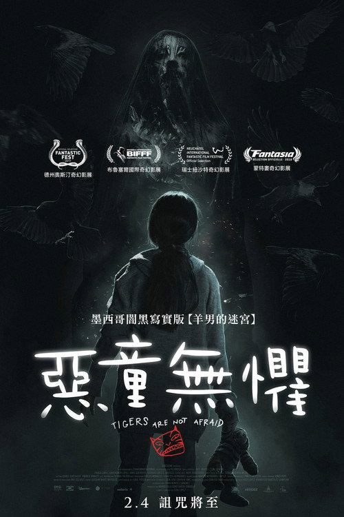 无惧之虎 封面