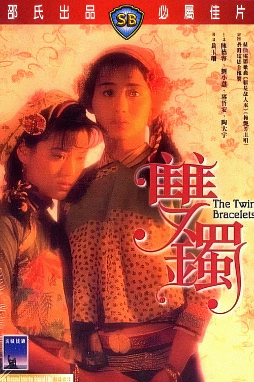 双镯 封面