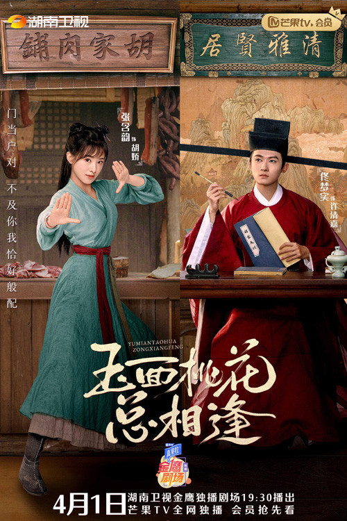 玉面桃花总相逢 封面