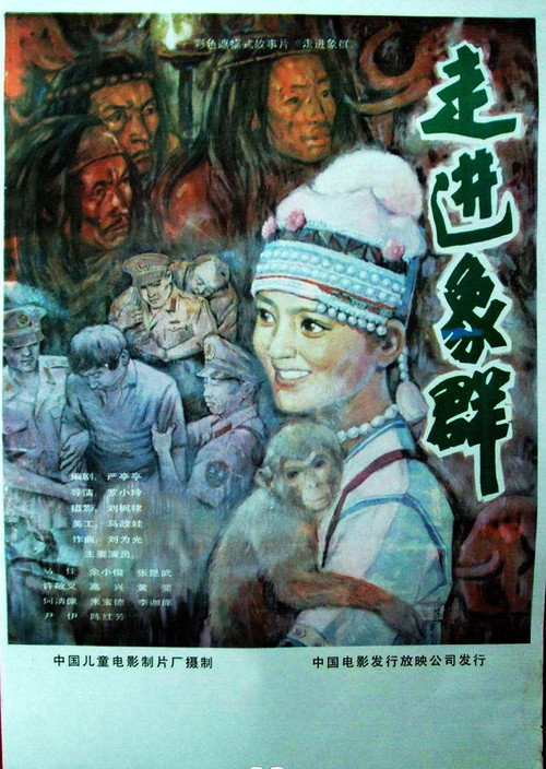 走进象群 封面