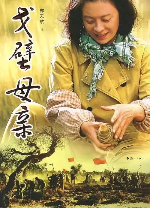 戈壁母亲 封面