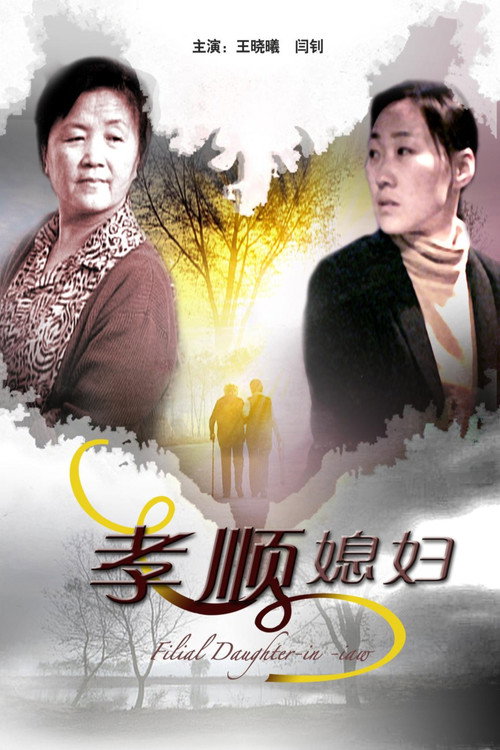 孝顺媳妇 封面