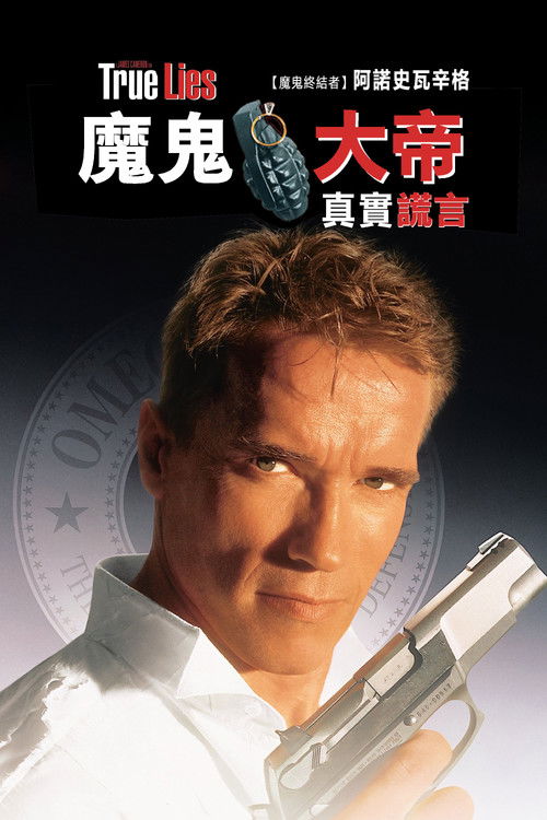 真实的谎言 封面