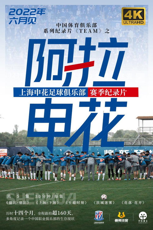 阿拉申花 封面