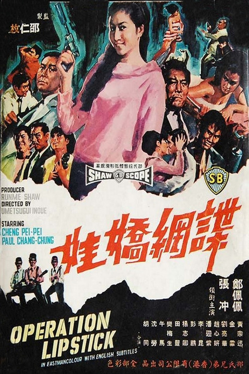 谍网娇娃 封面