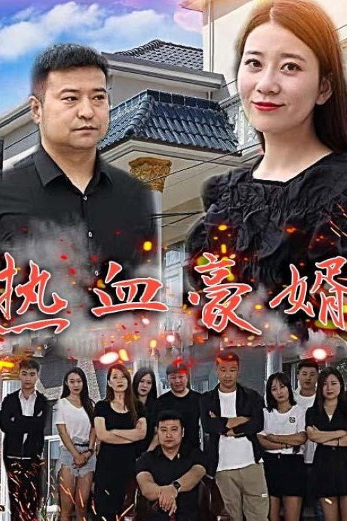 热血豪婿 封面