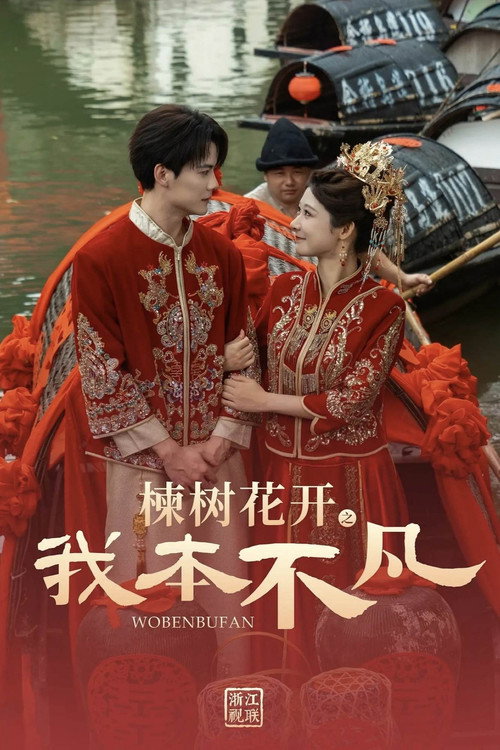 楝树花开之我本不凡 封面