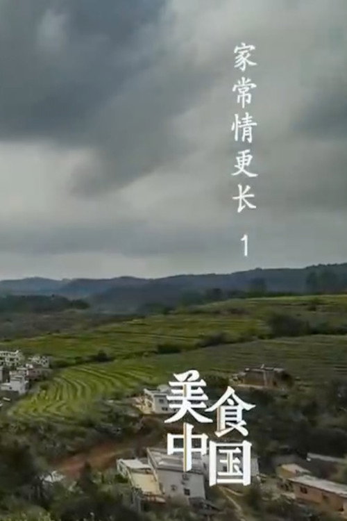 美食中国:家常情更长 封面