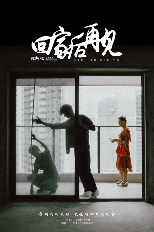 回家后再见 封面