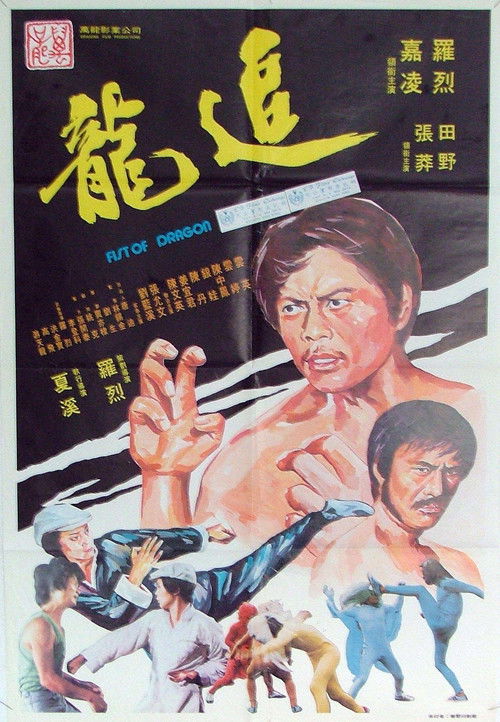 追龍 封面
