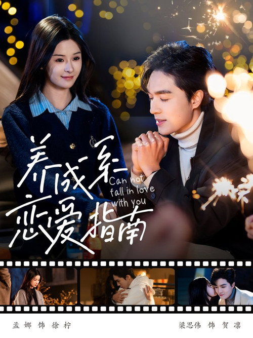 养成系恋爱指南 封面