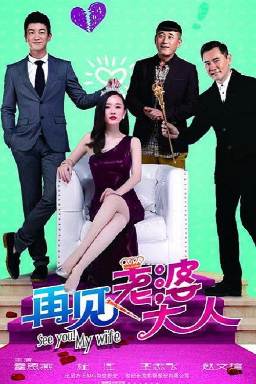 再见老婆大人 封面