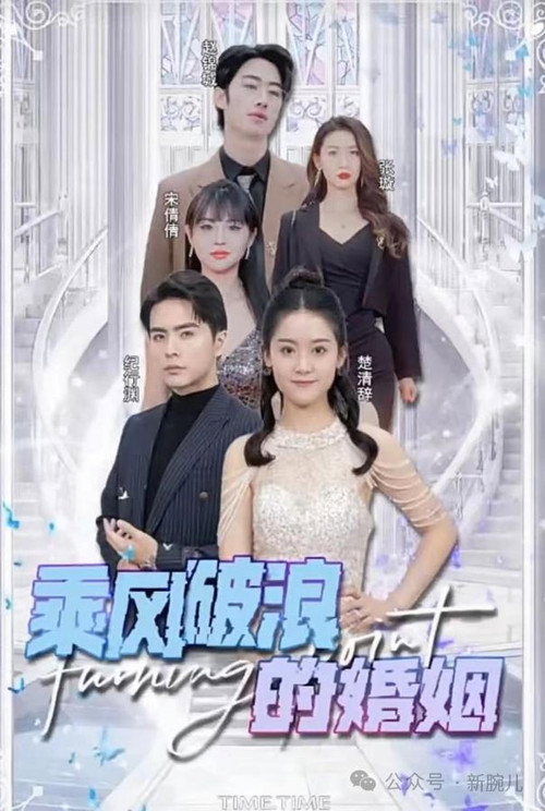 乘风破浪的婚姻 封面