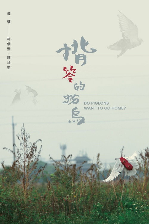 揹笭的粉鳥 封面