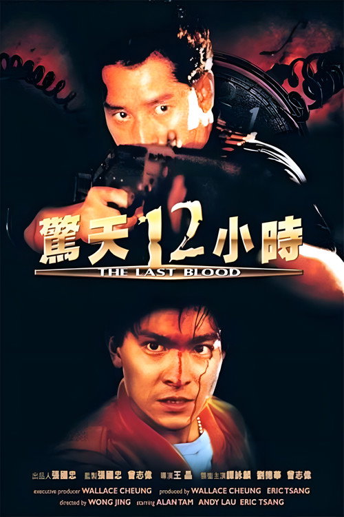 惊天12小时 封面