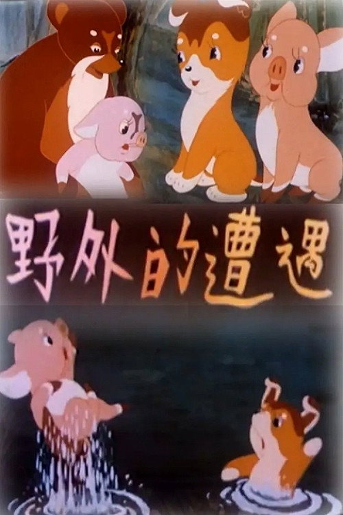 野外的遭遇 封面