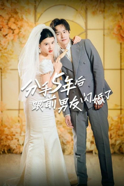 分手5年后跟前男友闪婚了 封面