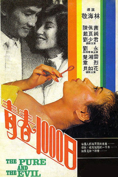 青春1000日 封面