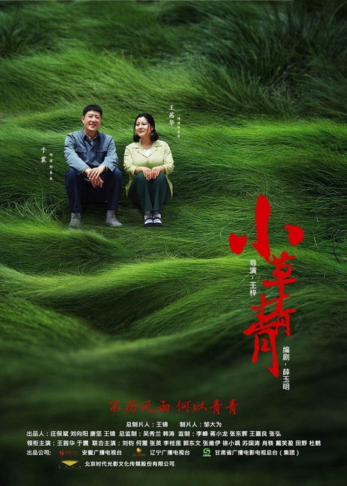 小草青青 封面