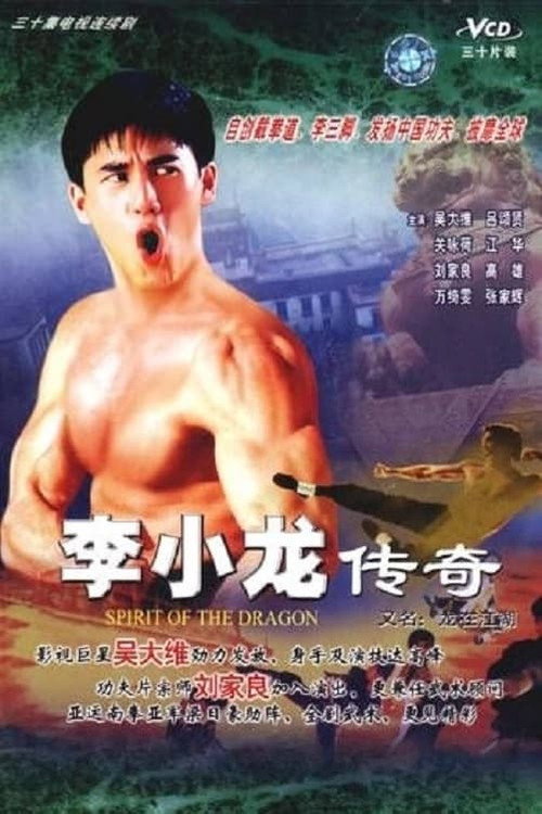 李小龙传 封面