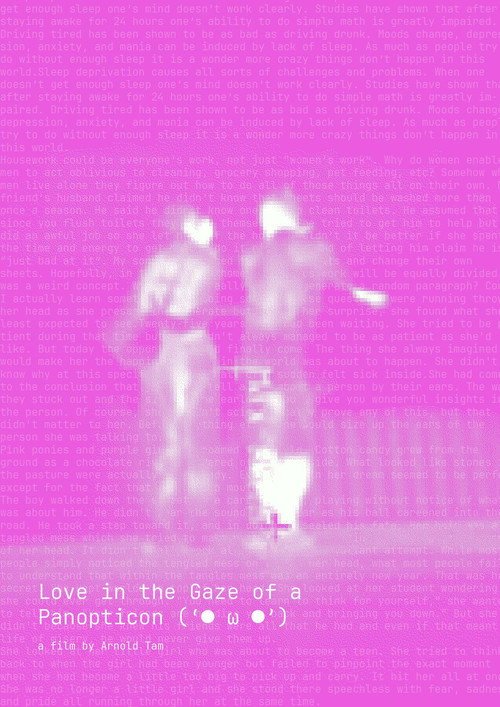 Love in the Gaze of a Panopticon 封面