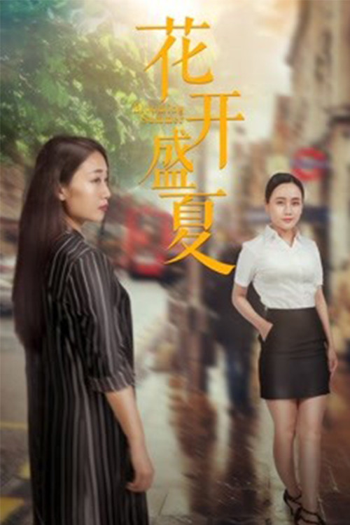 花开盛夏 封面