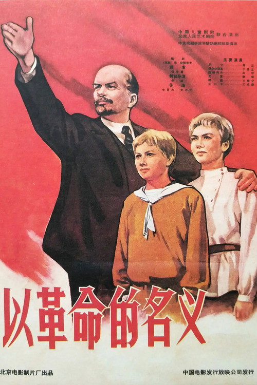 以革命的名义 封面